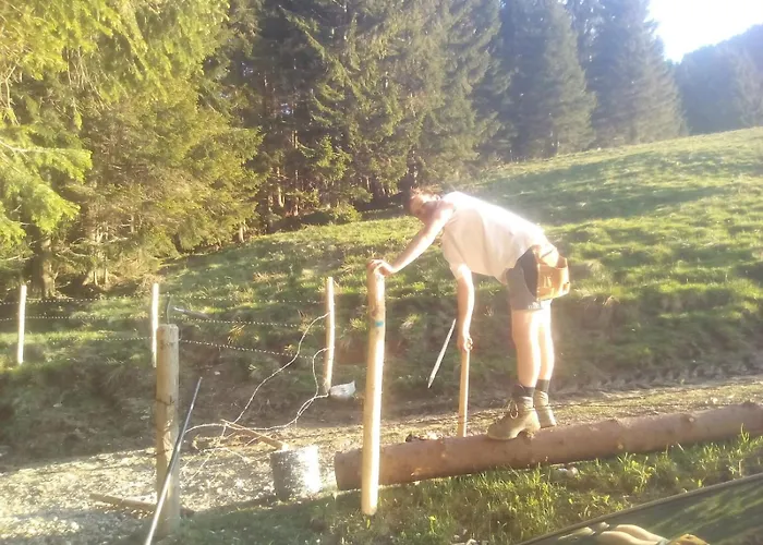 Zum Sonnenschein Appartement Marquartstein