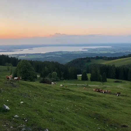 Zum Sonnenschein